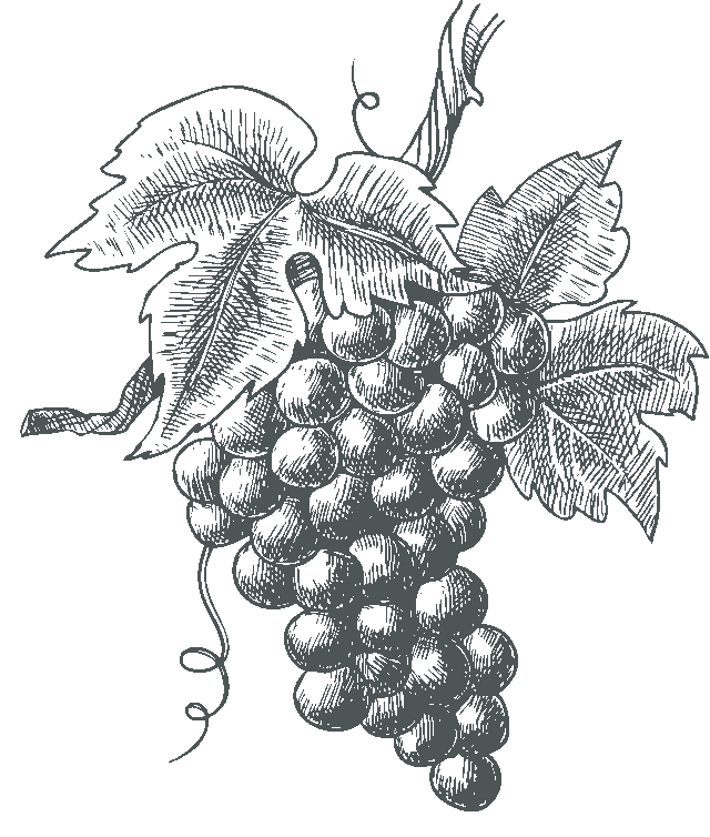 conjunto-decorativo-vino-boceto-3-new