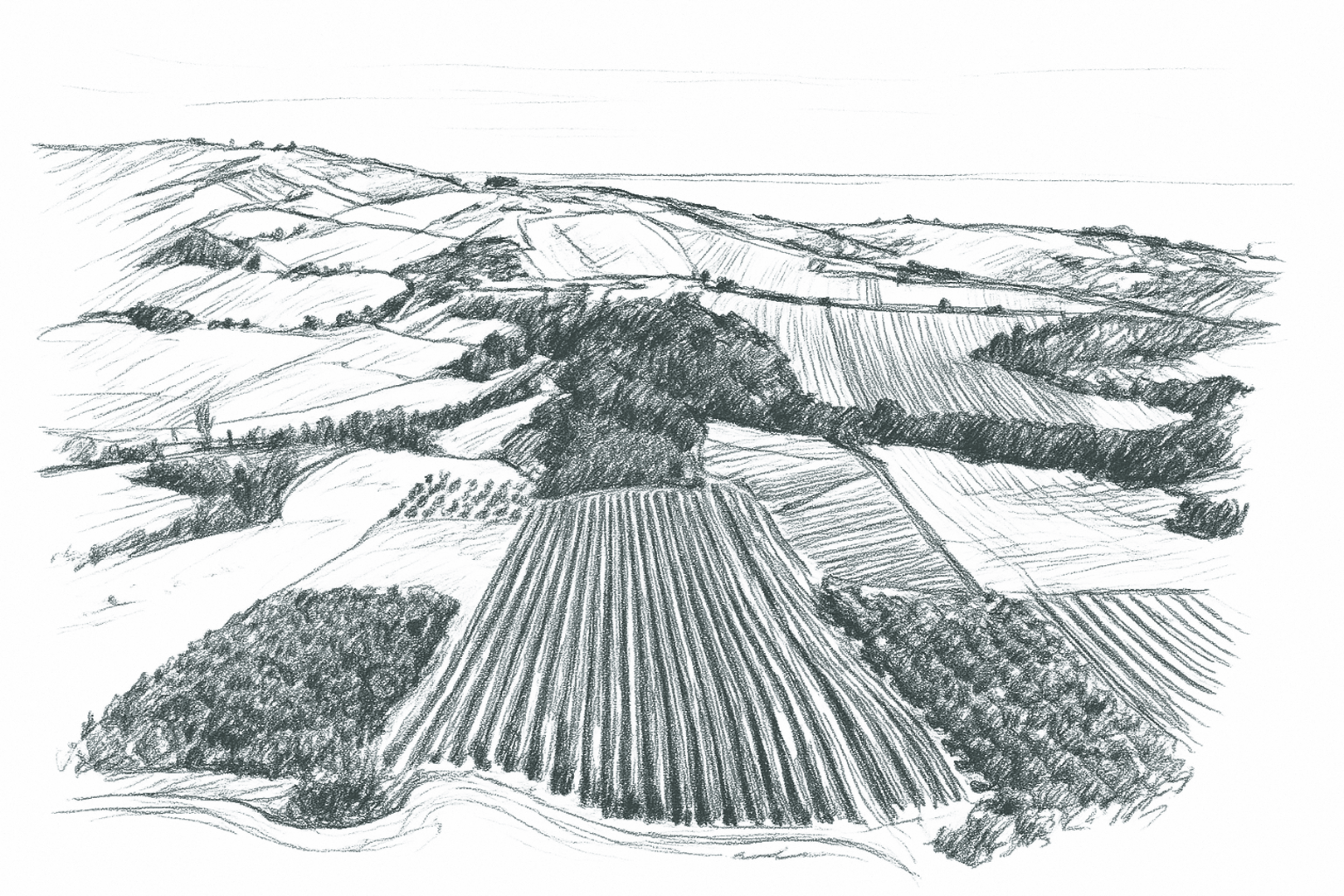 disegno-tenuta-fanton-mission